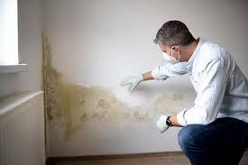 Best Mold Remediation for Healthcare Facilities  in Watts Mills, SC